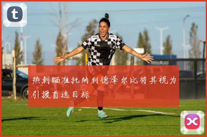 热刺瞄准托纳利德泽尔比将其视为引援首选目标